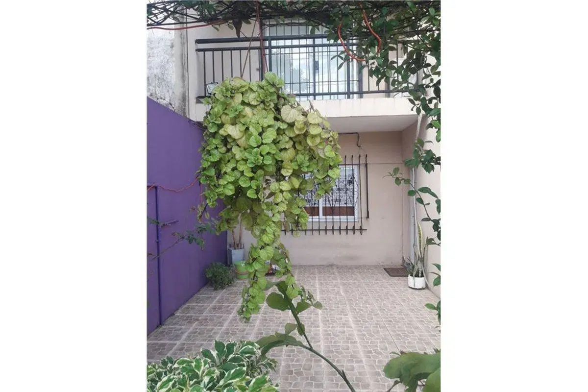 CASA 4 AMB CON PARQUE Y COCHERA APTO CREDITO 2