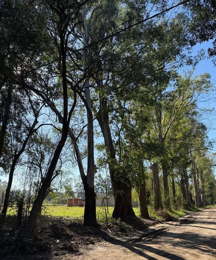 Venta Lote "Barrio Las Moras" Pontevedra 5