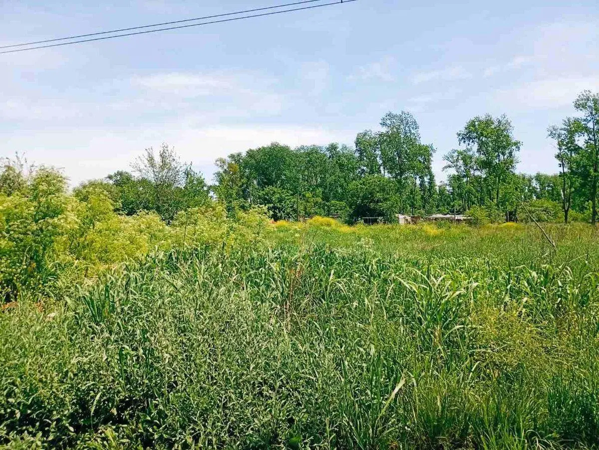 venta de terreno lote 10800 m2 en Sausalito, Pilar 2