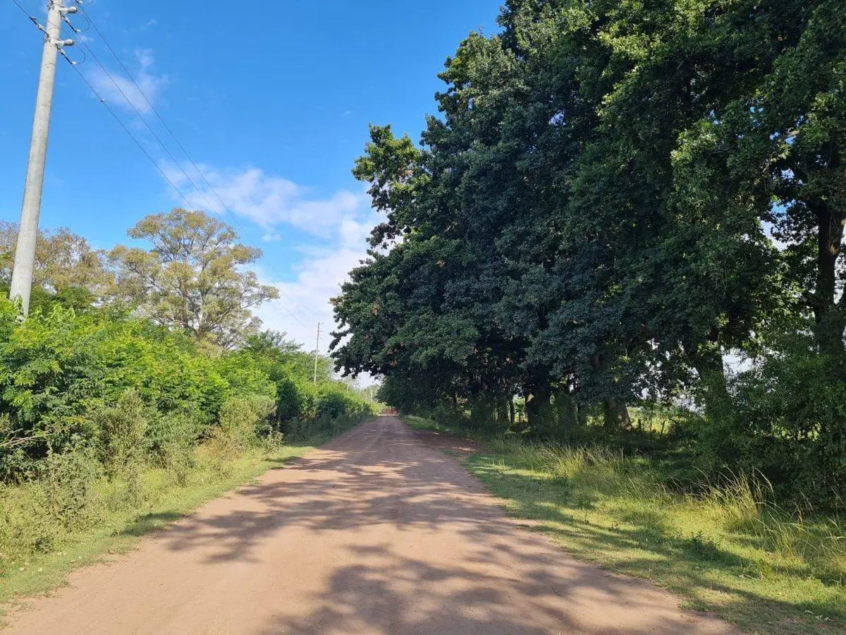 VENTA CHACRA VILLARS 11 HECTÁREAS  PERMUTA 5
