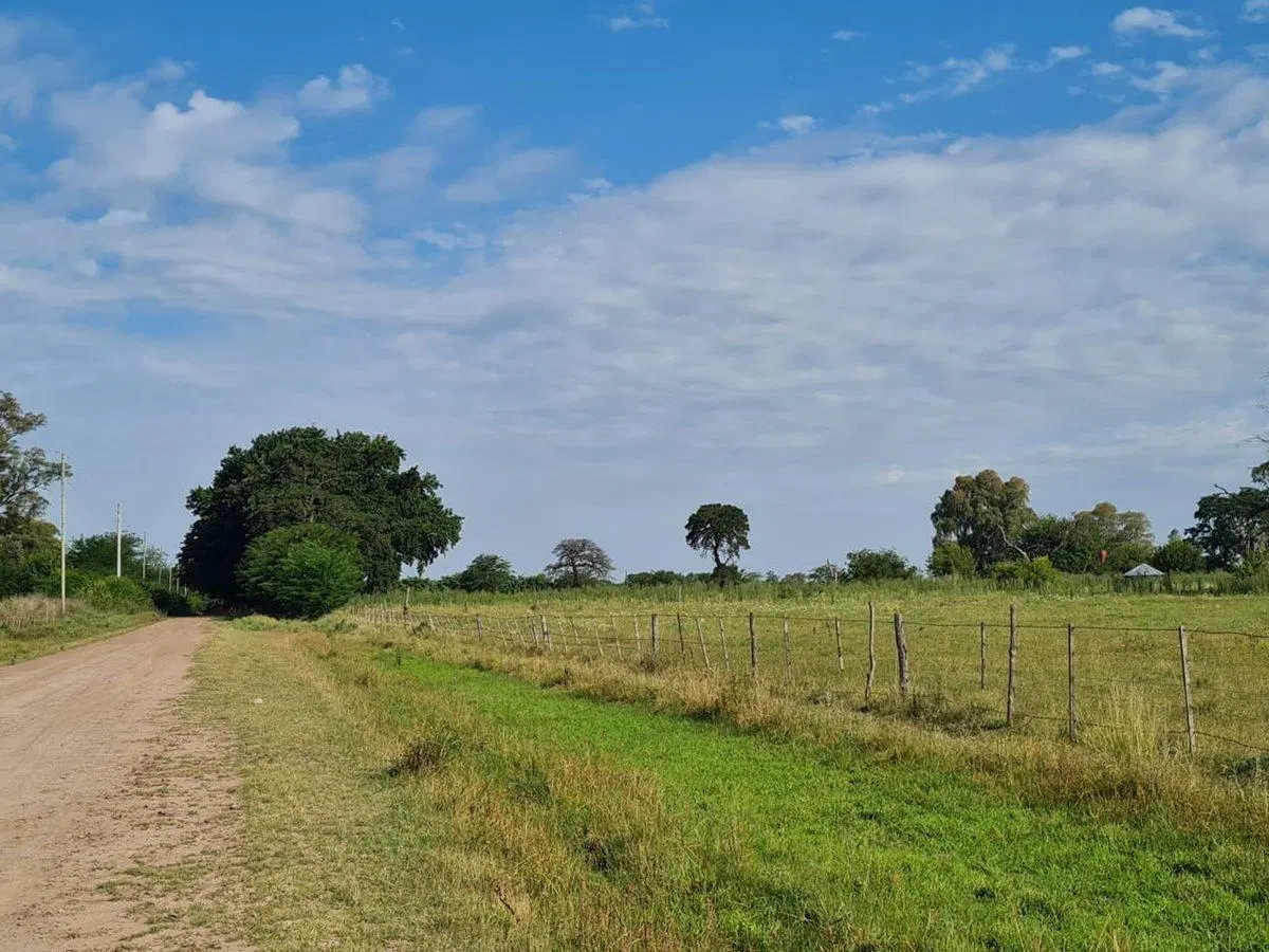 VENTA CHACRA VILLARS 11 HECTÁREAS  PERMUTA 2
