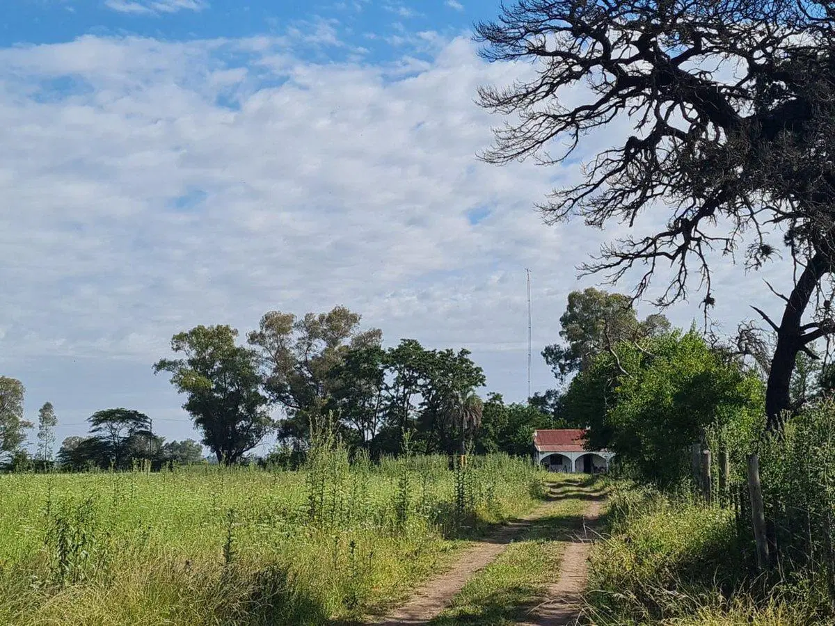 VENTA CHACRA VILLARS 11 HECTÁREAS  PERMUTA 3