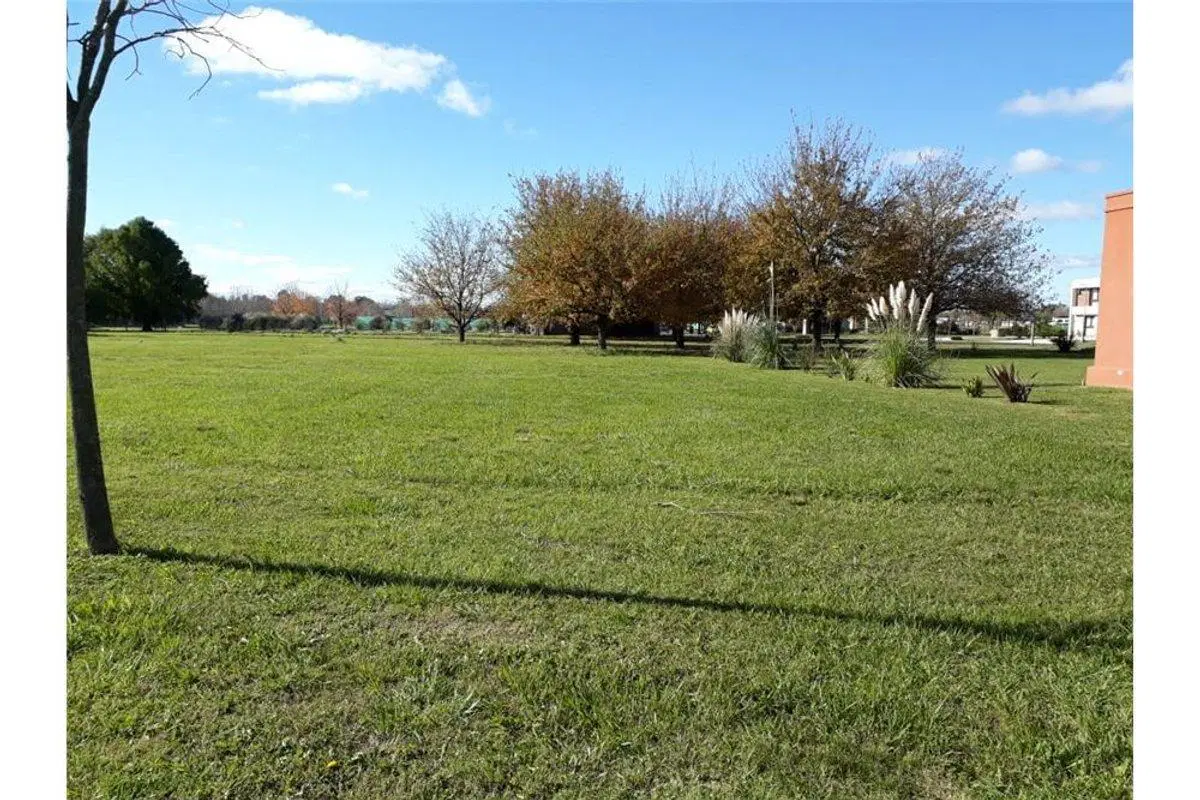 TERRENO EN VENTA GRAL. RODRÍGUEZ EL NACIONAL 4