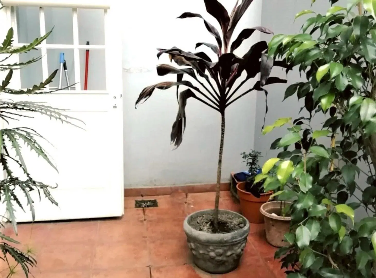 VENTA DEPARTAMENTO 2AMBIENTES CASEROS PATIO COCHER 4