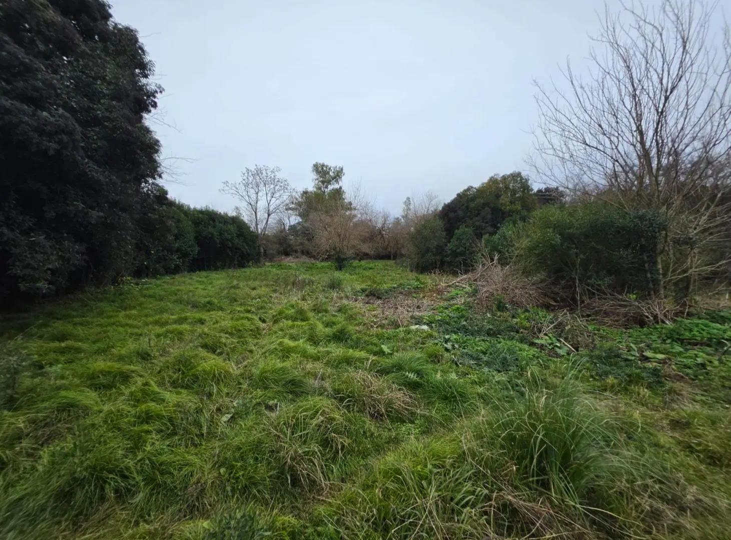 VENTA x4 LOTES 1279m2 GRAL RODRI IDEAL CASA QUINTA 7