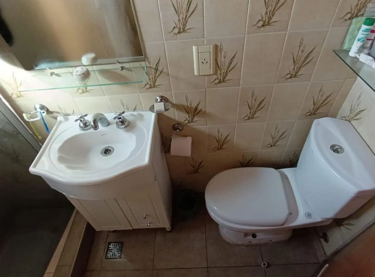 VENTA PH CON GALPON GRAL. SAN MARTIN 5