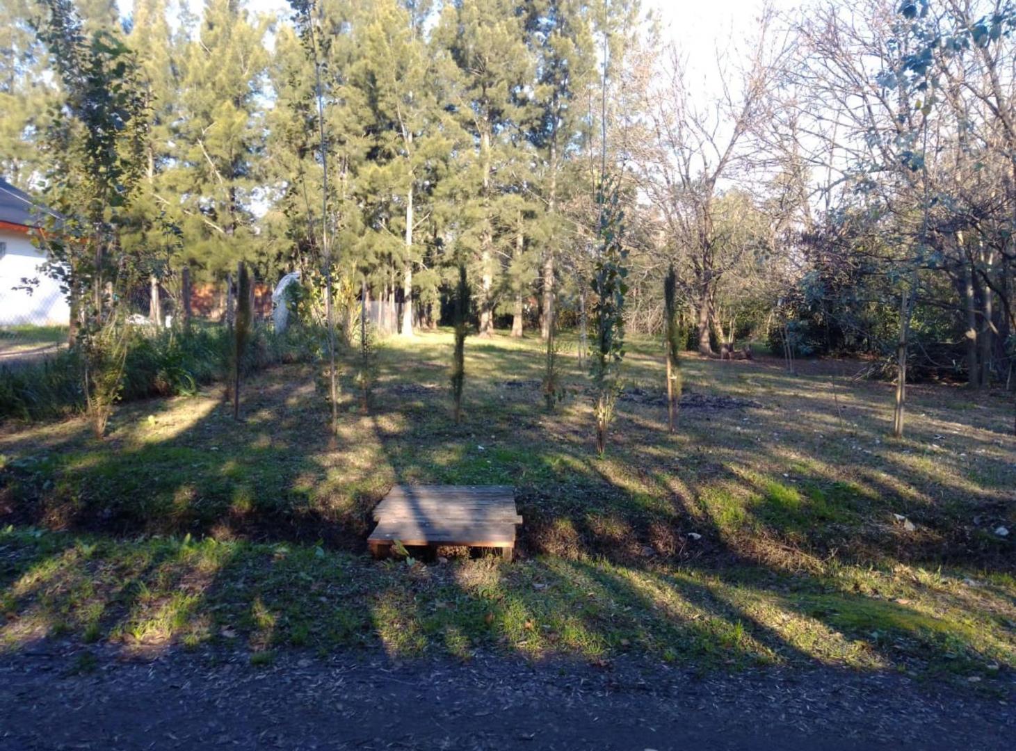 Foto de Venta lote 1530 m2 parque las naciones, Guernica, imagen 5