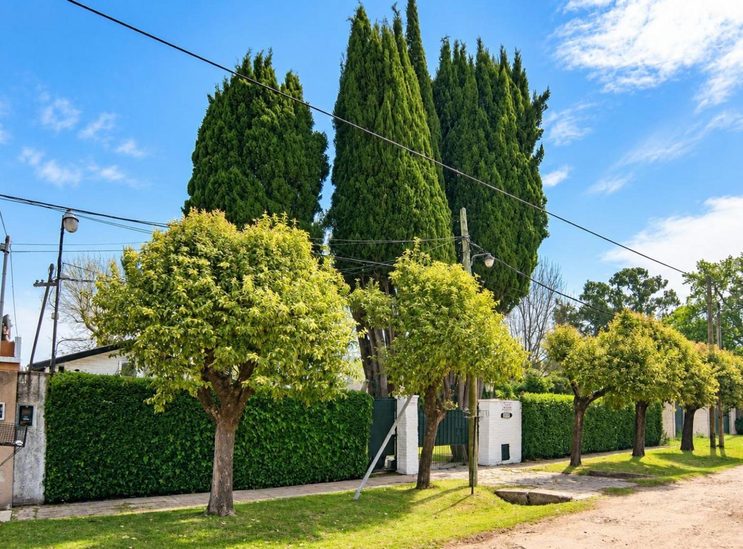 Foto de VENTA CASA 2 AMB EN LA REJA GRAN PARQUE CON PILETA, imagen 5