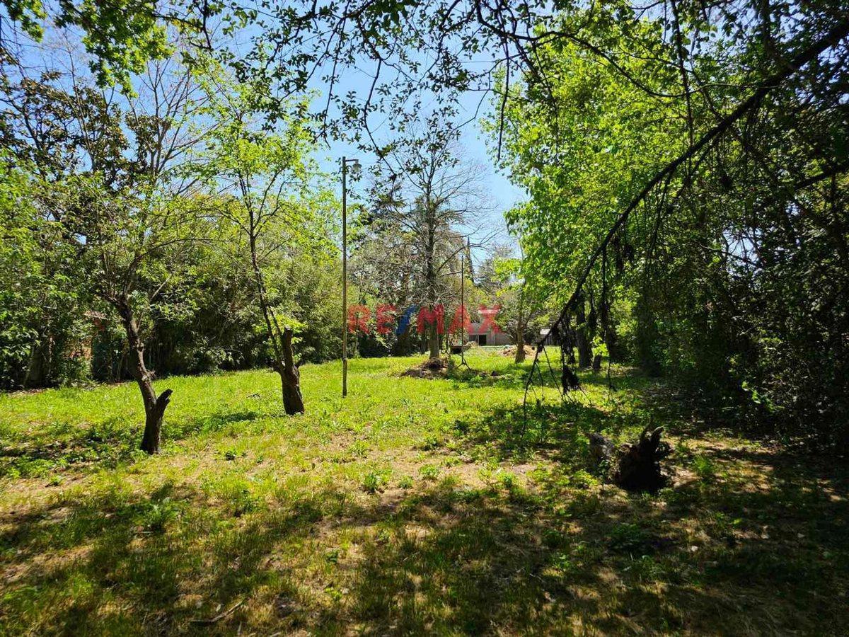 Foto de Casa quinta 3 amb Venta La Reja lote 1800m2 pileta, imagen 3