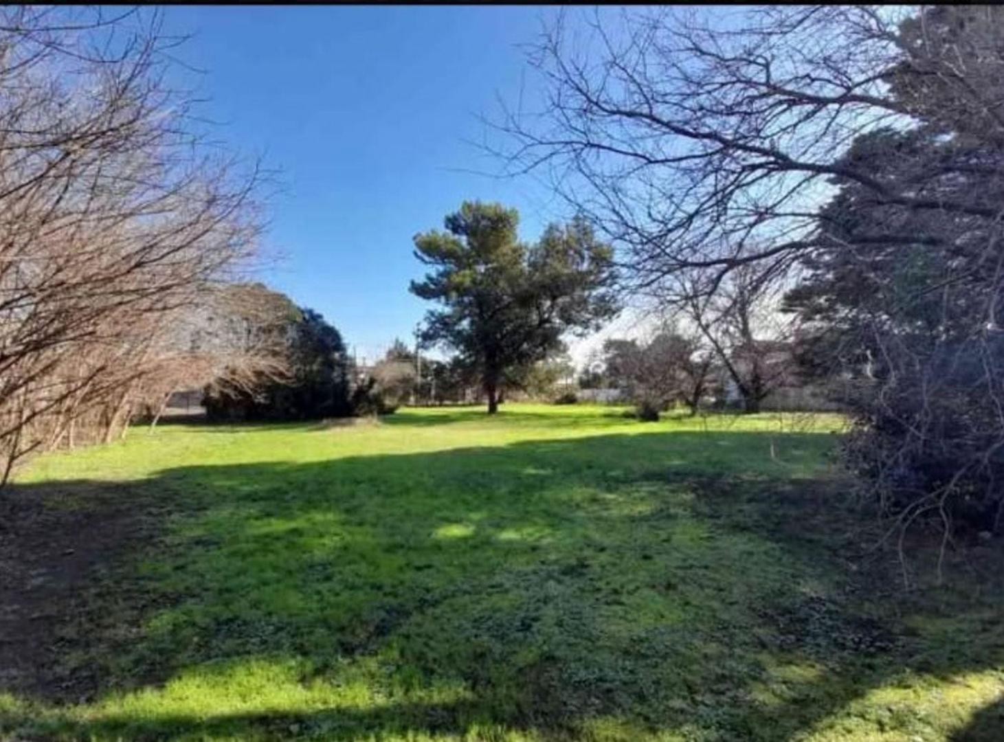Foto de VENTA LOTE 394 M2 - ITUZAINGÓ, imagen 2