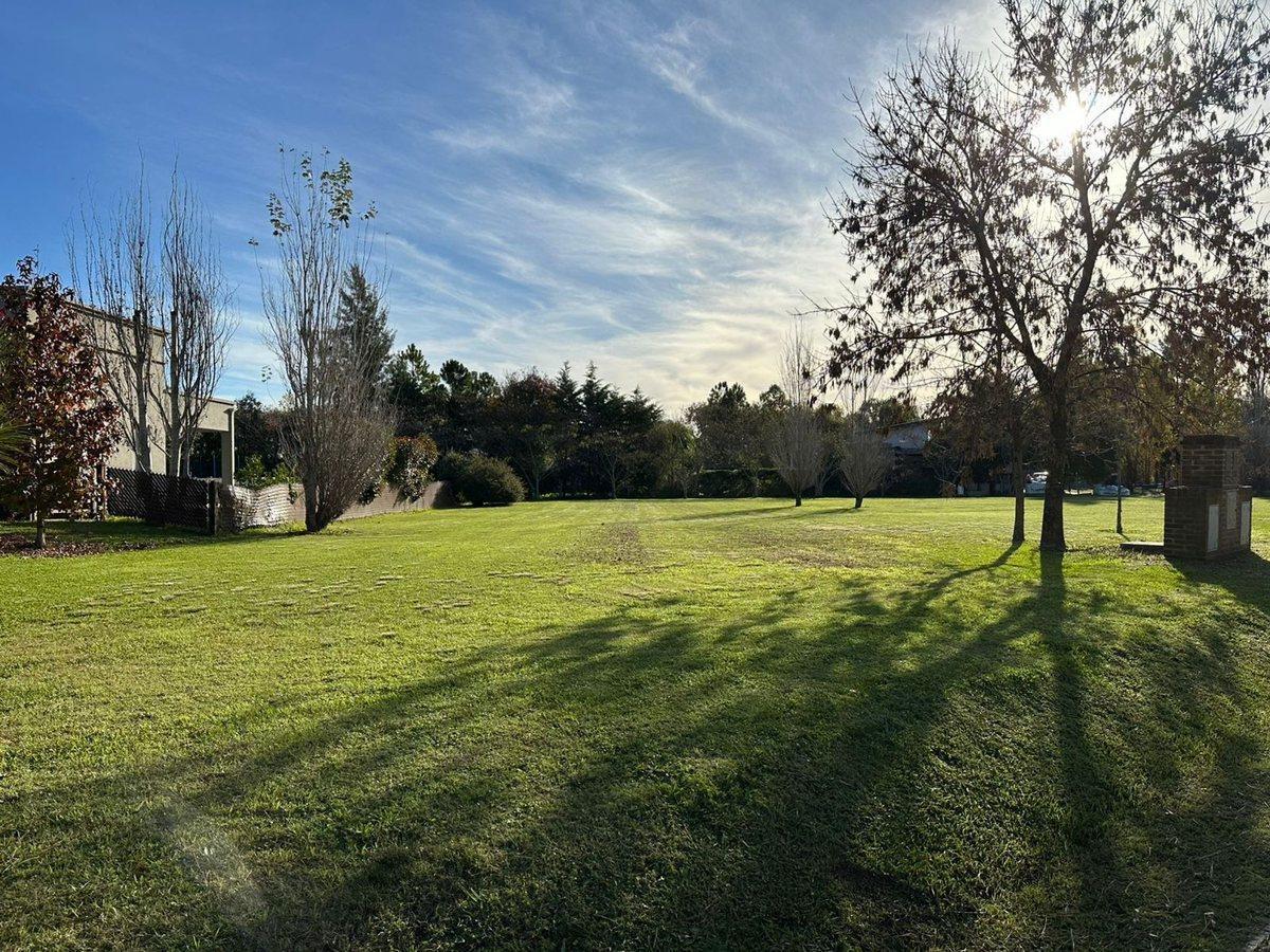 Foto de VENTA LOTE INTERNO 873 MT2 BARRIO EL CARDAL I, imagen 3