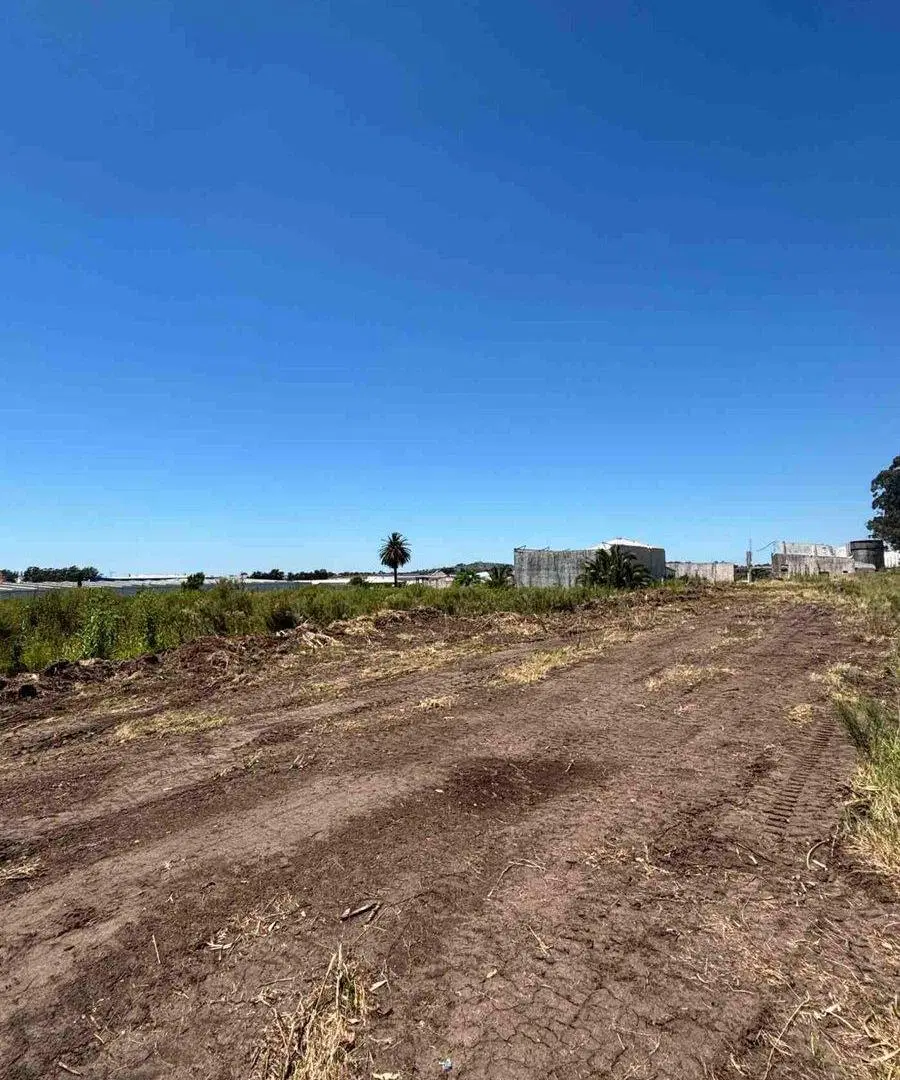 VENTA DE GRAN TERRENO LOGISTICO BAJO DE LA PETISA 4