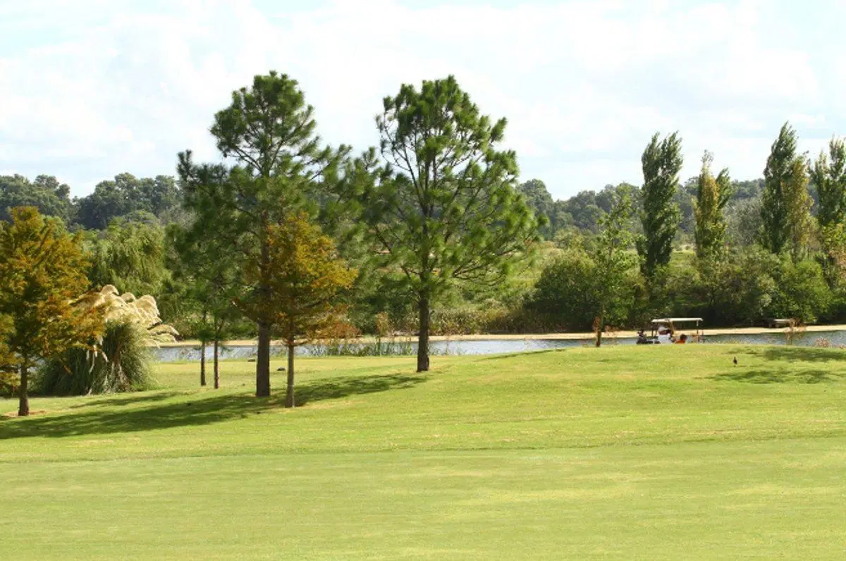 Venta terreno Carmelo Golf excelente orientación 5