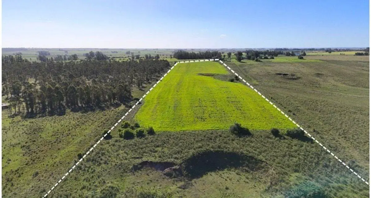 CHACRA EN VENTA - 10,8 HECTÁREAS - VILLA ROSARIO 4