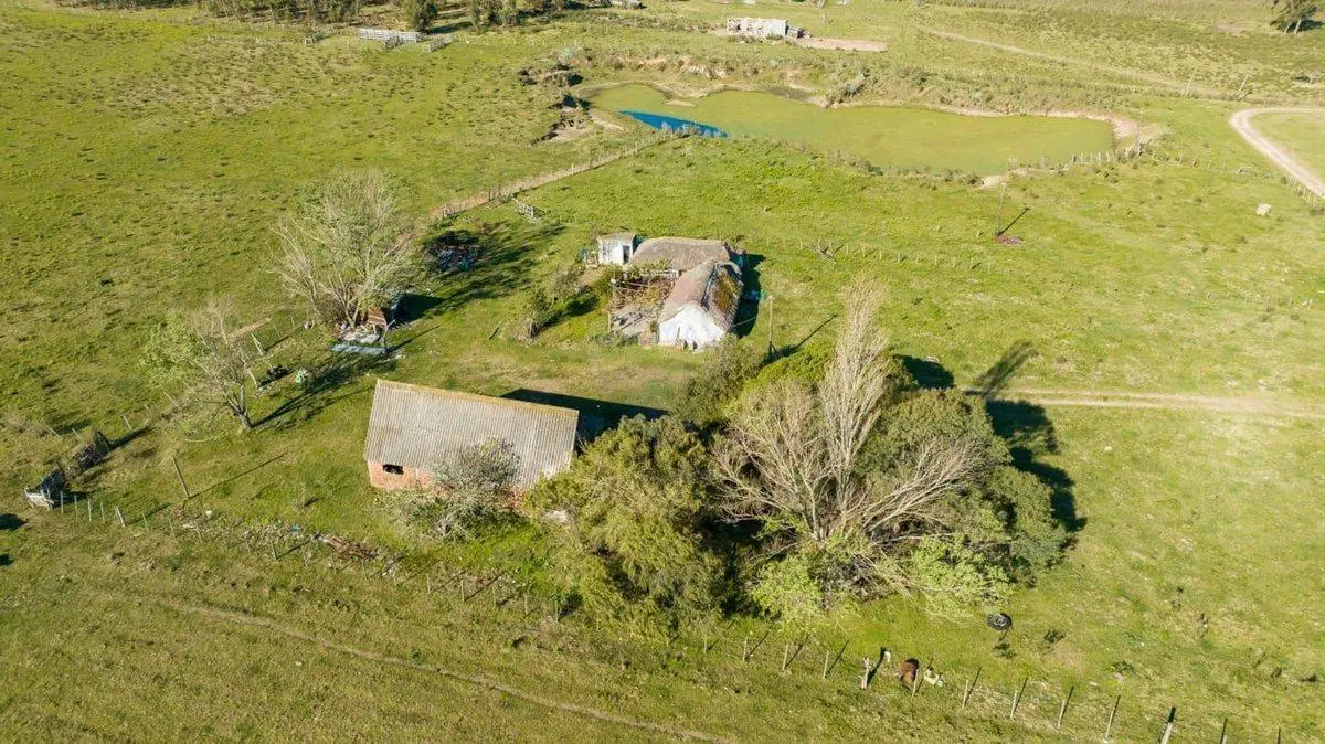 CAMPO EN VENTA - 20 HAS - IDEAL FRACCIONAMIENTO 1