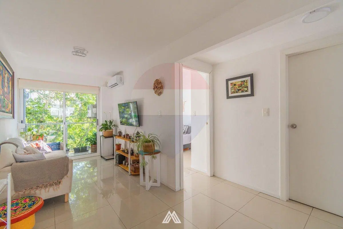 Apartamento 2 dormitorios c/cochera 3