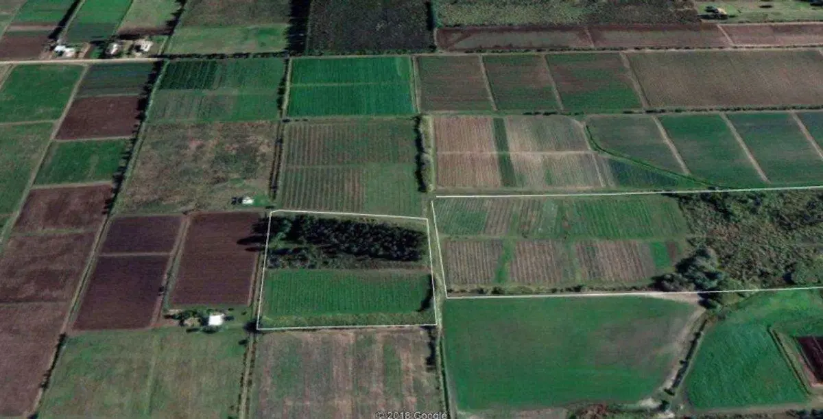 VENTA DE CHACRA DE 11 HECTÁREAS ZONA PAJAS BLANCAS 5