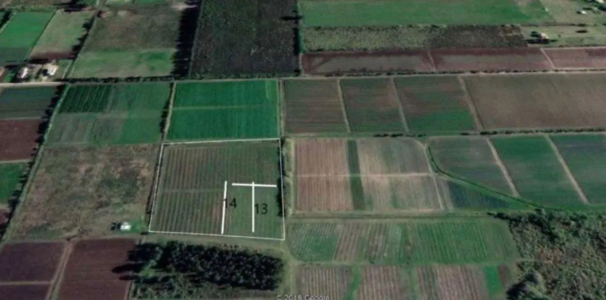 VENTA DE CHACRA DE 11 HECTÁREAS ZONA PAJAS BLANCAS 2