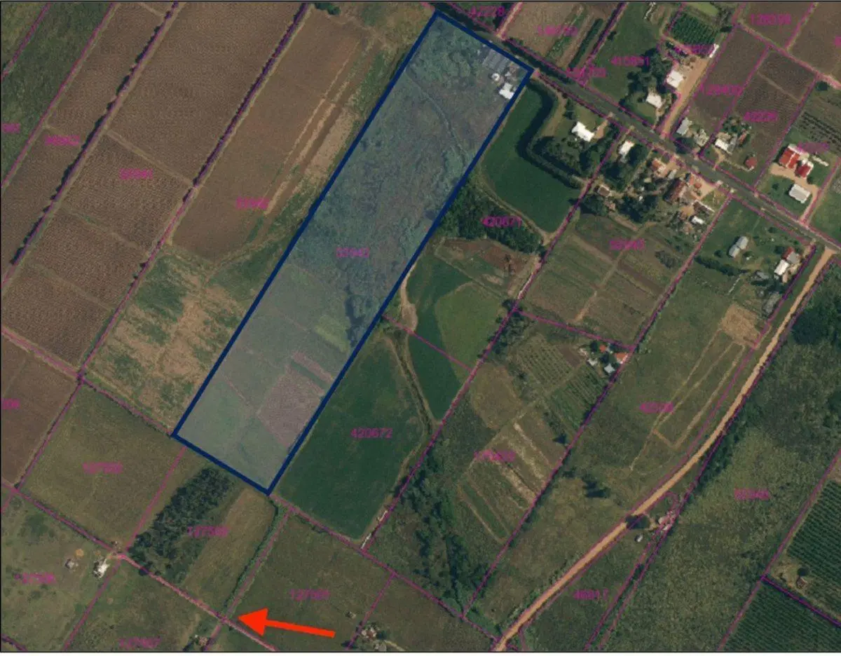 VENTA DE CHACRA DE 11 HECTÁREAS ZONA PAJAS BLANCAS 3
