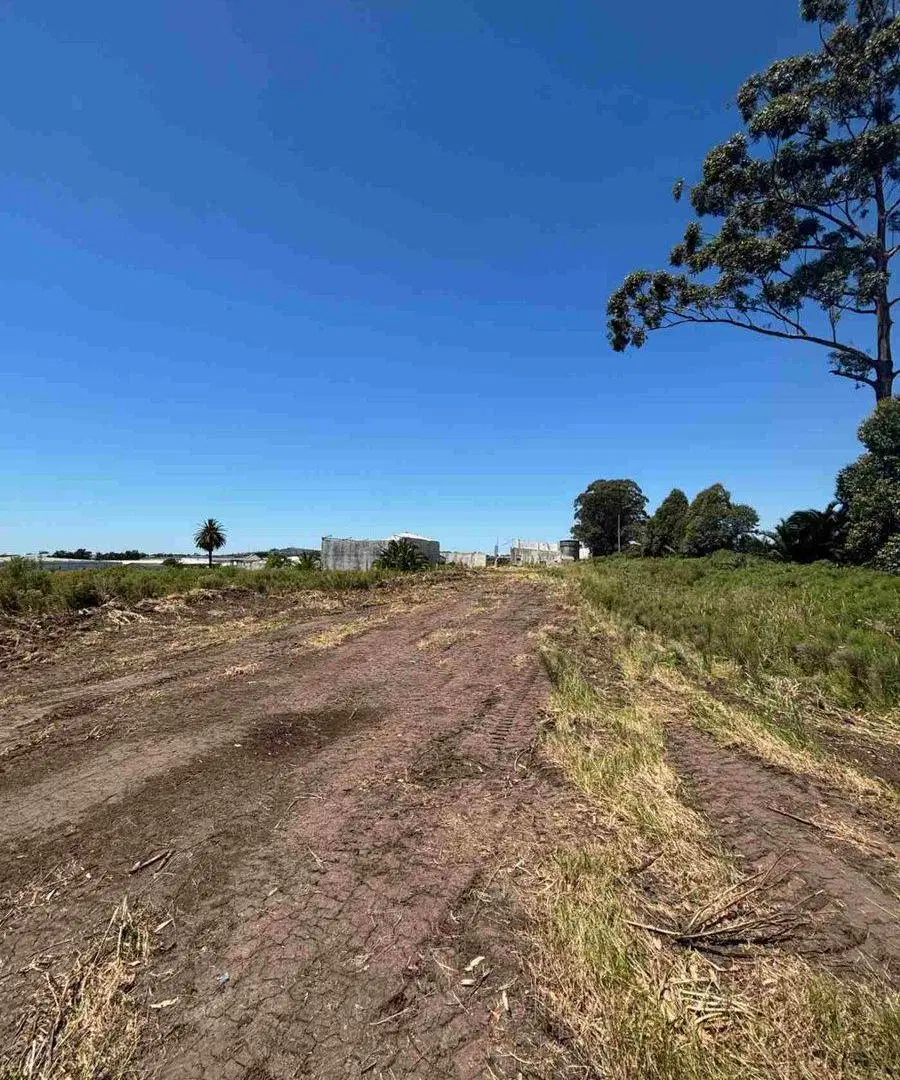 VENTA DE GRAN TERRENO LOGISTICO BAJO DE LA PETISA 4