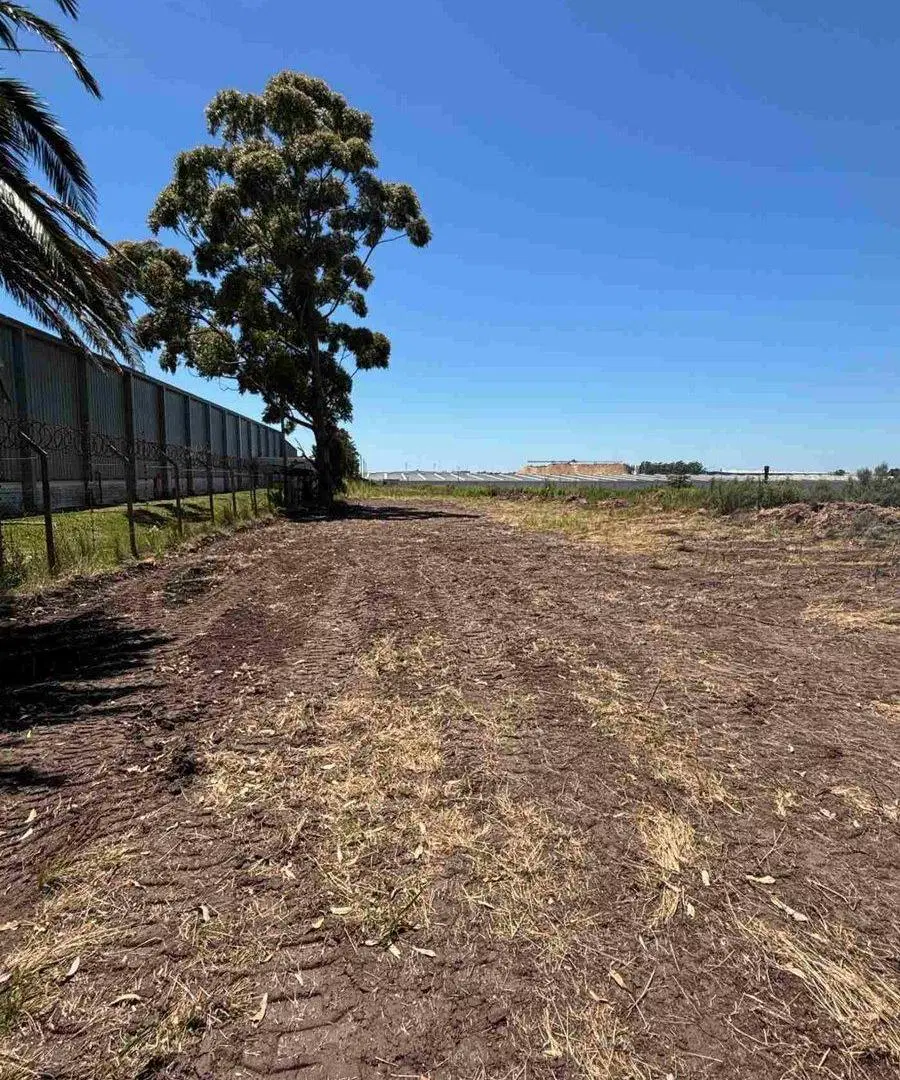 VENTA DE GRAN TERRENO LOGISTICO BAJO DE LA PETISA 5