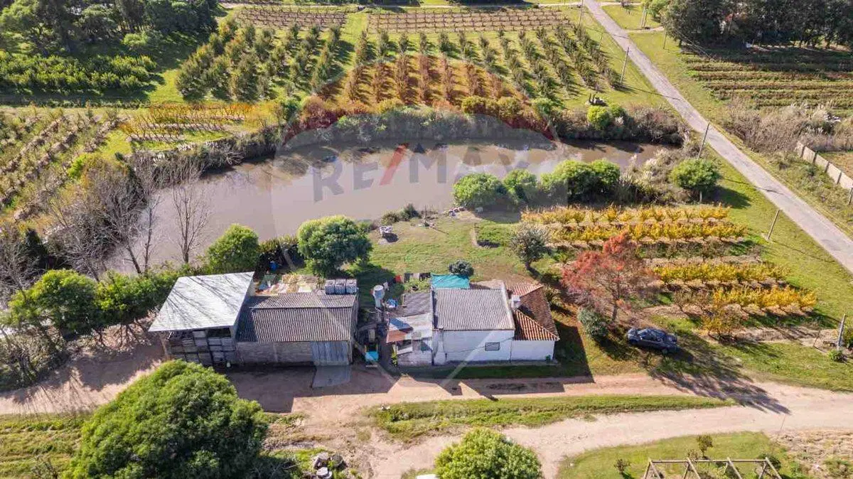 VENTA CHACRA EN MELILLA 4,7 HAS CNO LOS PIRINCHOS 3