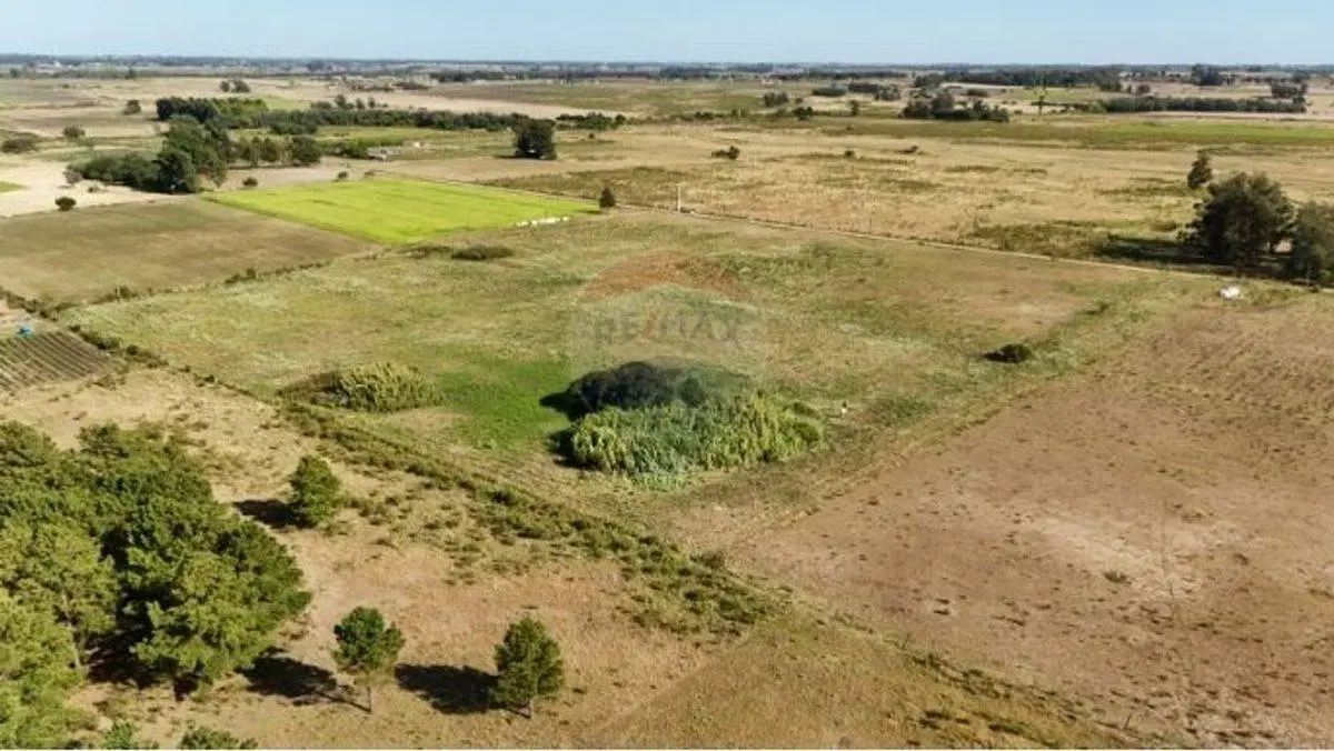 VENTA Chacra 3 has, Ruta 7, San Jacinto. 2