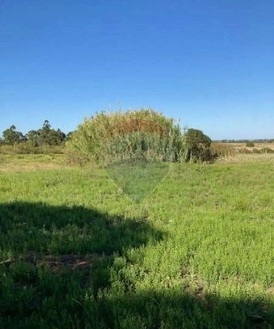 VENTA Chacra 3 has, Ruta 7, San Jacinto. 4