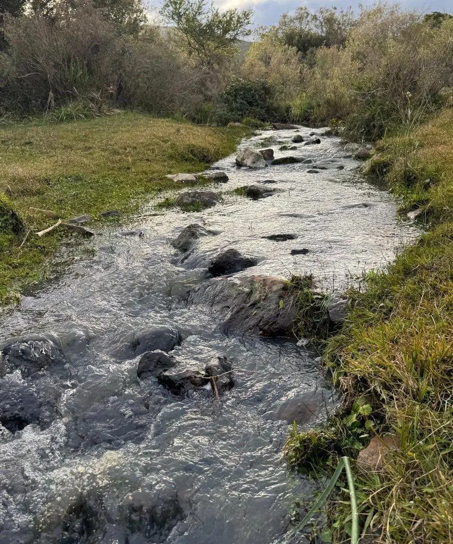 Chacra 8,4 hectáreas en Sierra de las Ánimas 3