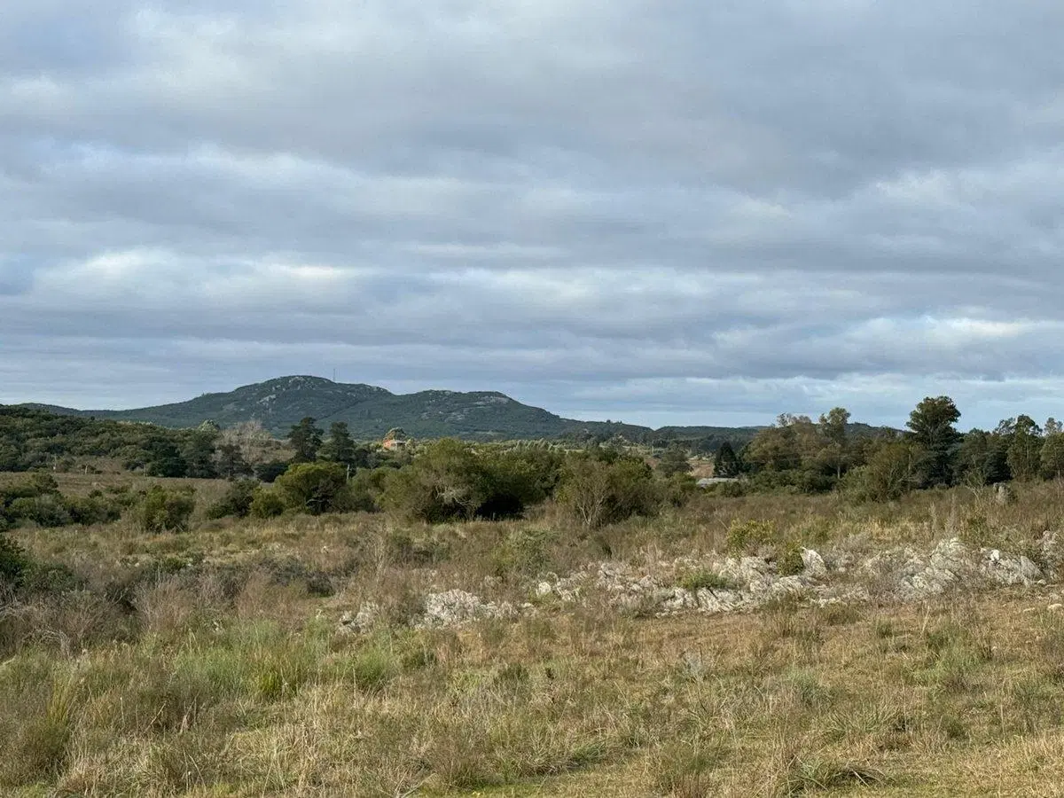 Chacra 8,4 hectáreas en Sierra de las Ánimas 5