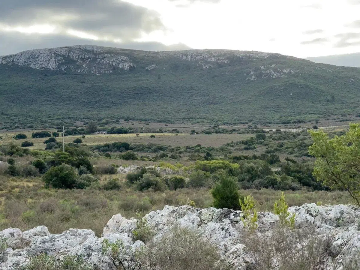 Chacra 8,4 hectáreas en Sierra de las Ánimas 2