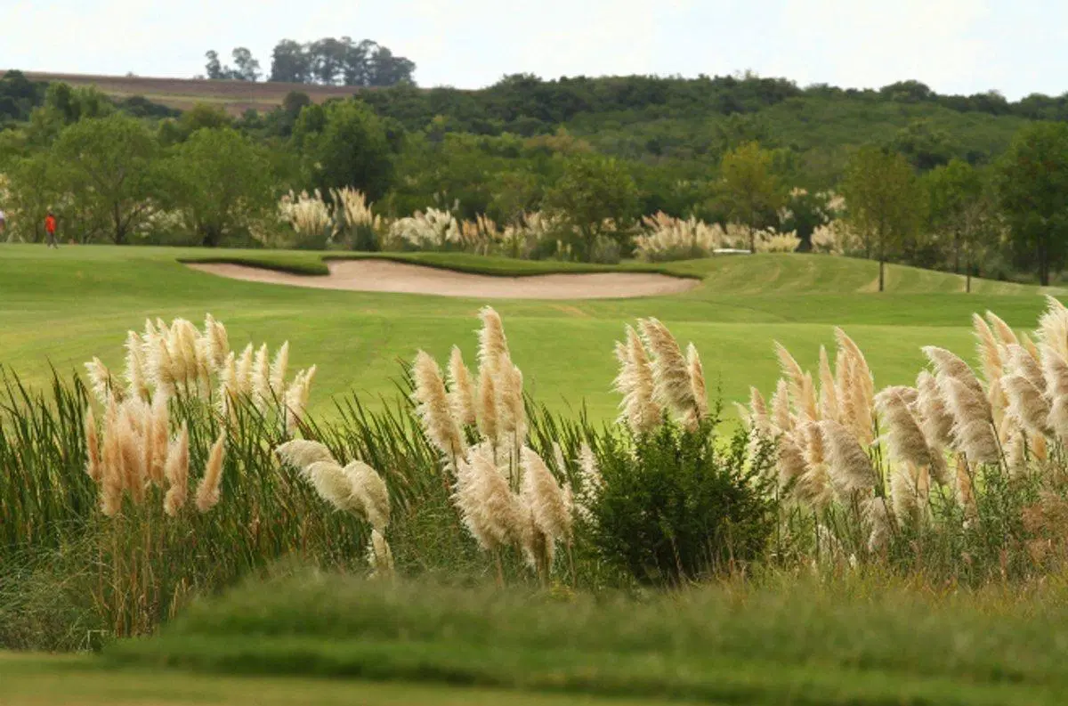 Venta terreno Carmelo Golf excelente orientación 2