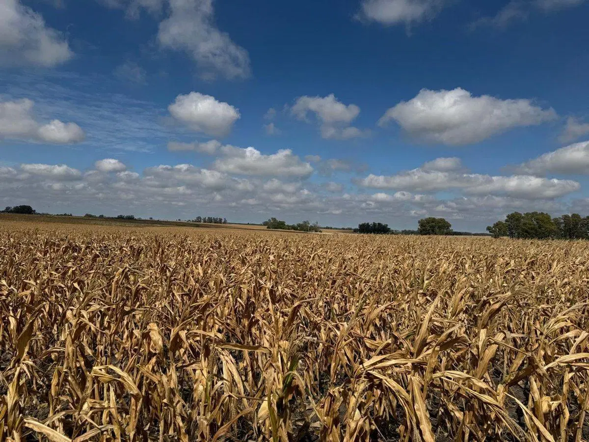 Venta de Campo Agrícola en Soriano 4