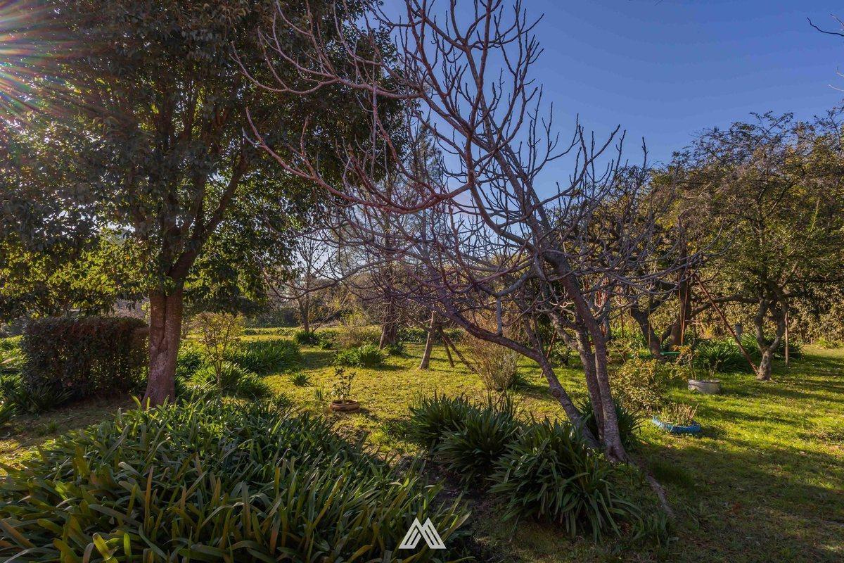 Foto de Venta gran padrón punta de rieles casa y terreno, imagen 4