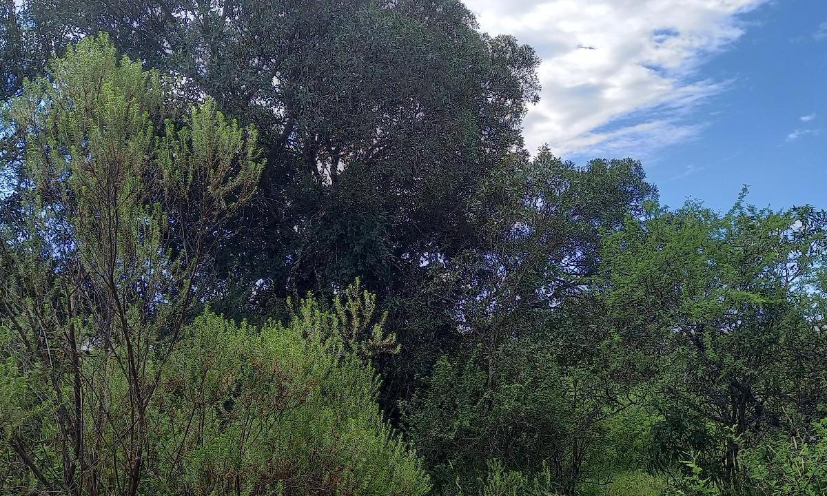 ¡Lote en Venta en Villa Flor Serrana, Tanti! 4