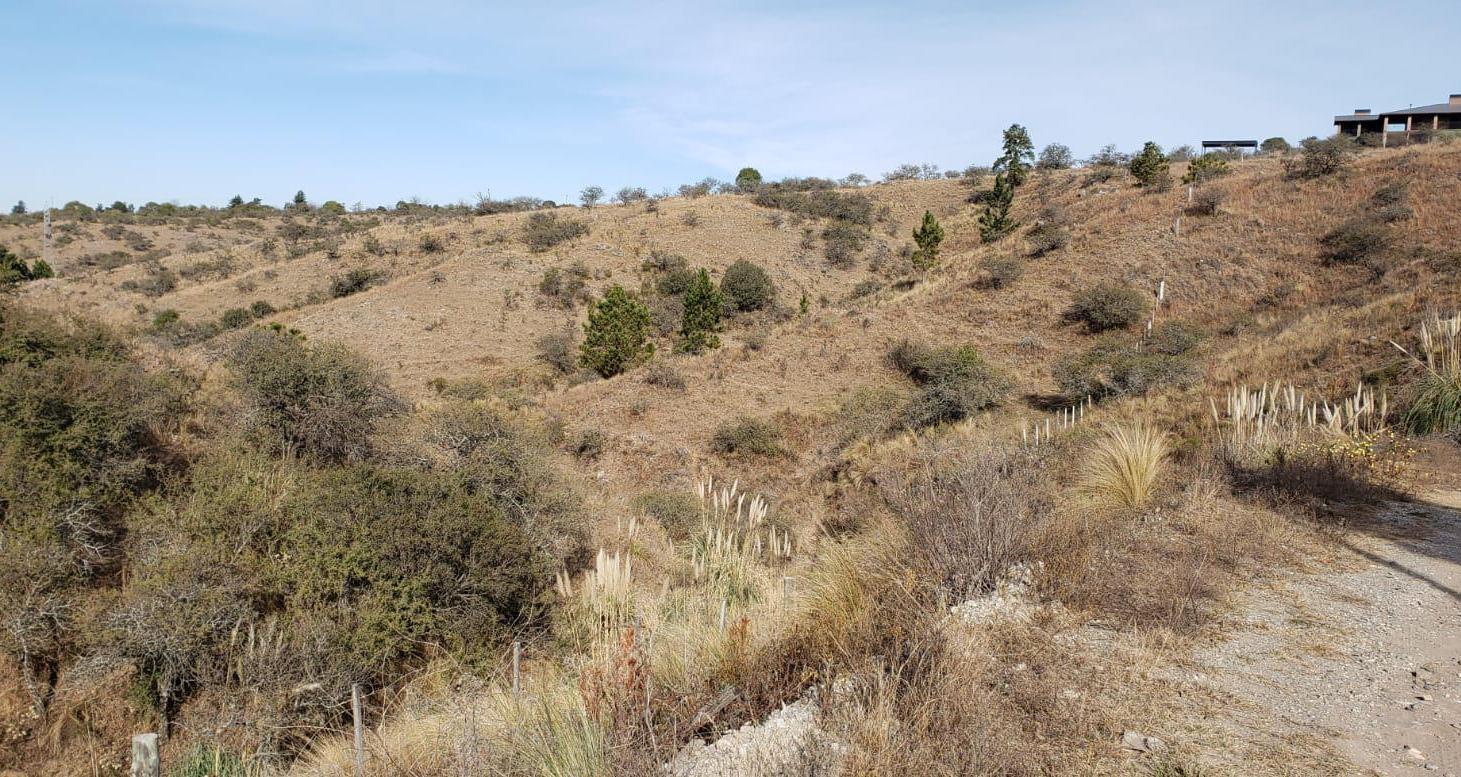 Foto de VENTA LOTES EN POTRERO DE GARAY CÓRDOBA, imagen 4