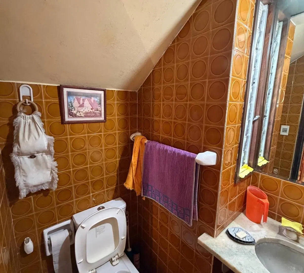 Casa de 5 ambientes con jardin y pileta en barrio Divino Rostro. 5