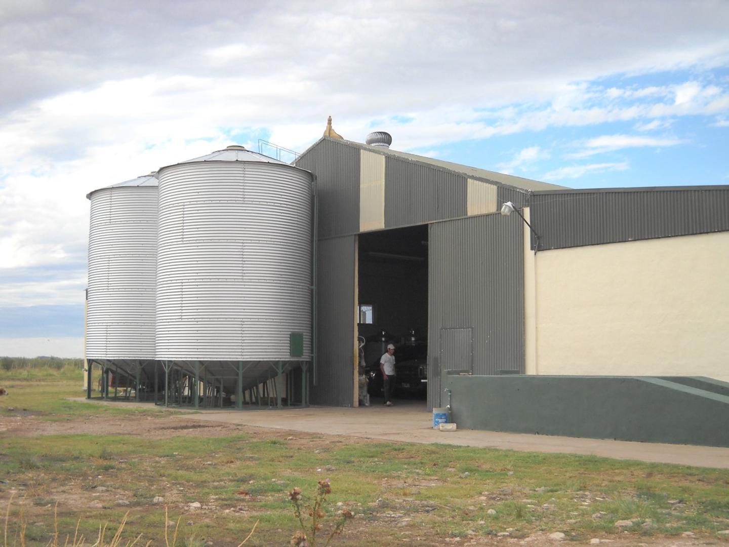 Foto de Único campo vitivinícola y orgánico, imagen 4