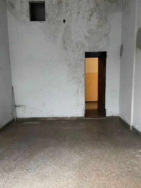 Departamento en Constitución 4