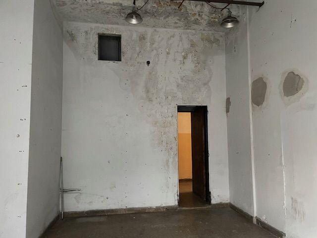 Foto de Departamento en Constitución, imagen 5