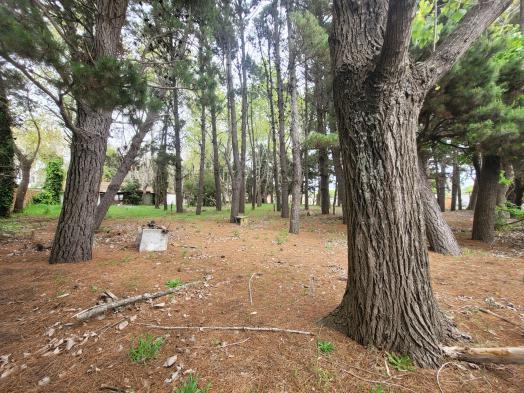 Lote Arbolado en Mar de Ajo - Financiado 3