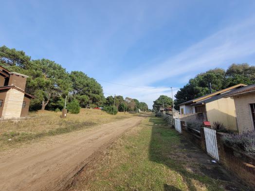 Lote Nivelado con Arboles en Nueva Atlantis 3
