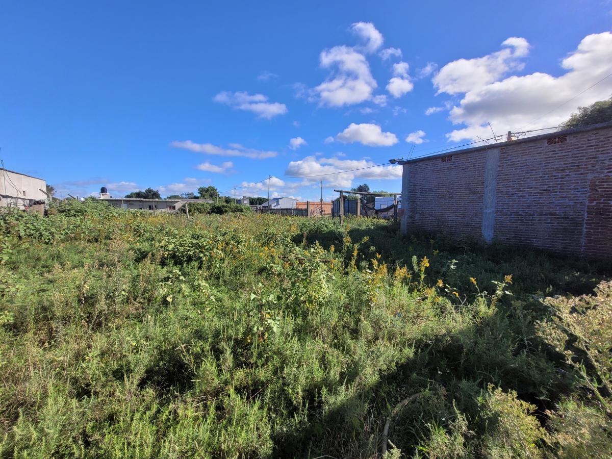 Lote esquina de 745m² en Mar de Ajó (204)