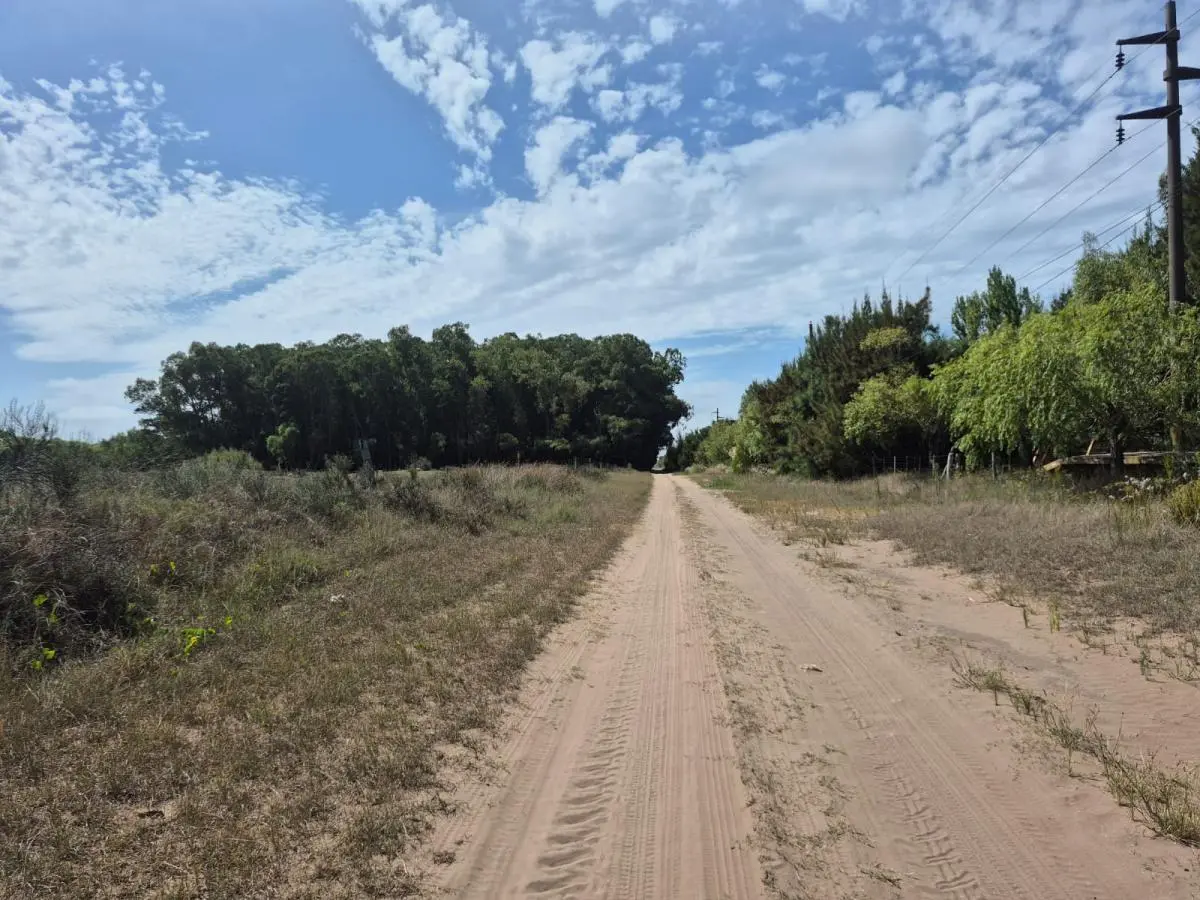 Hectárea en Paraje Pavón (215) 4