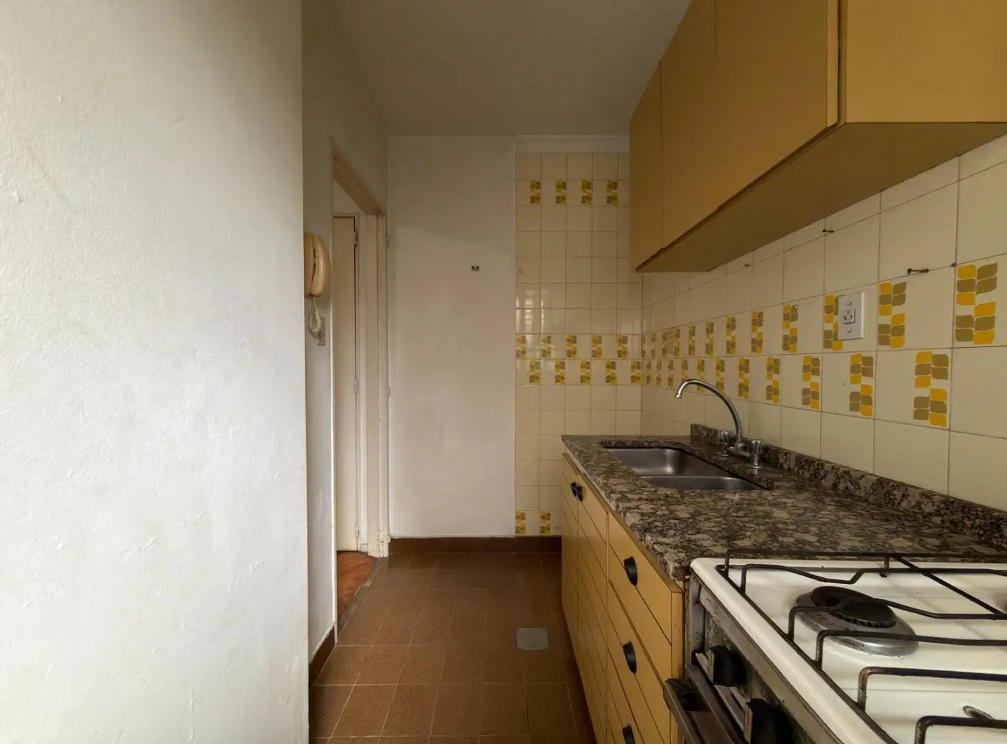 Departamento - Parque Chacabuco 1