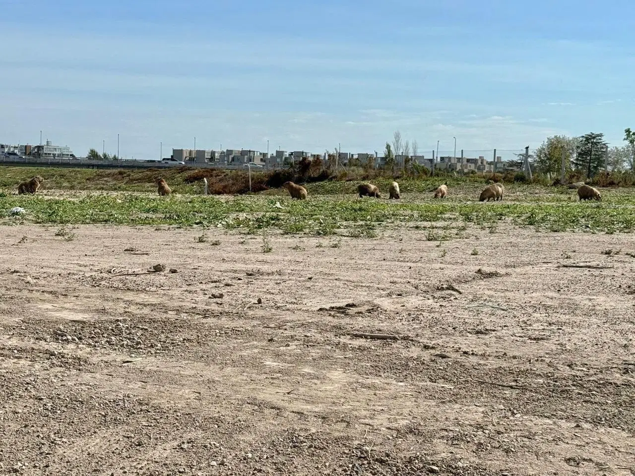 Terreno Lote en Venta en Silvestre, Nordelta 1