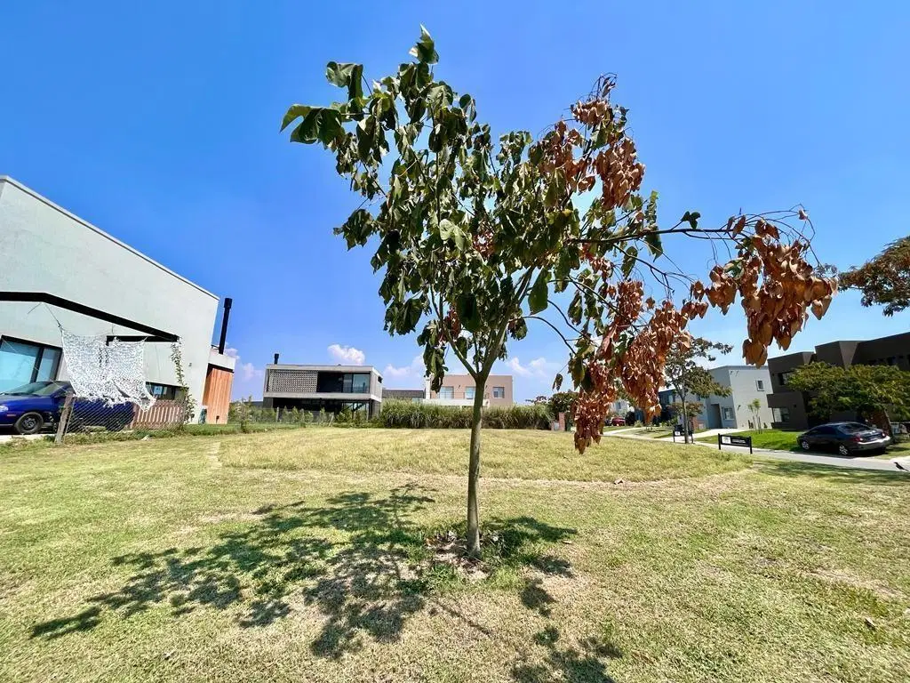 Lote en venta en ACACIAS, PUERTOS 2
