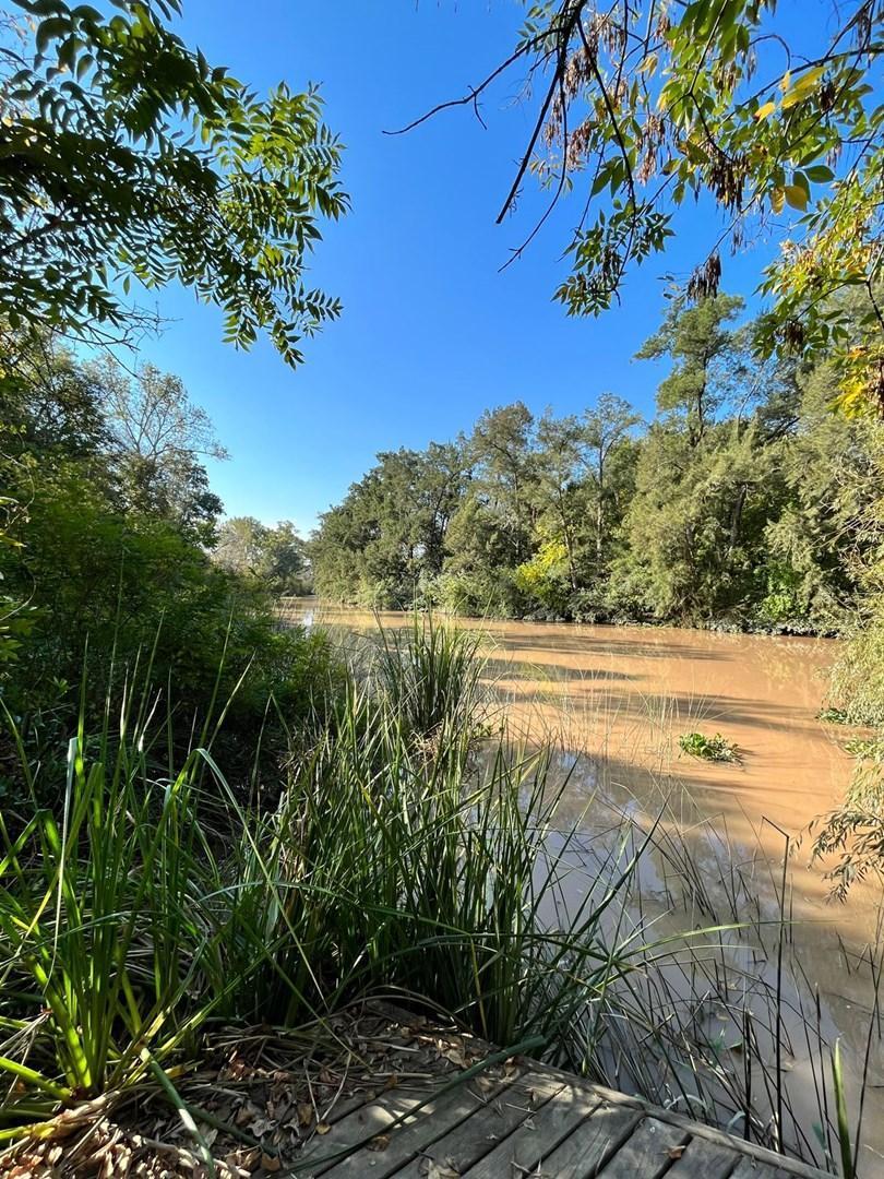 Foto de Lote en Venta en Amarras, Puertos al lago, imagen 5
