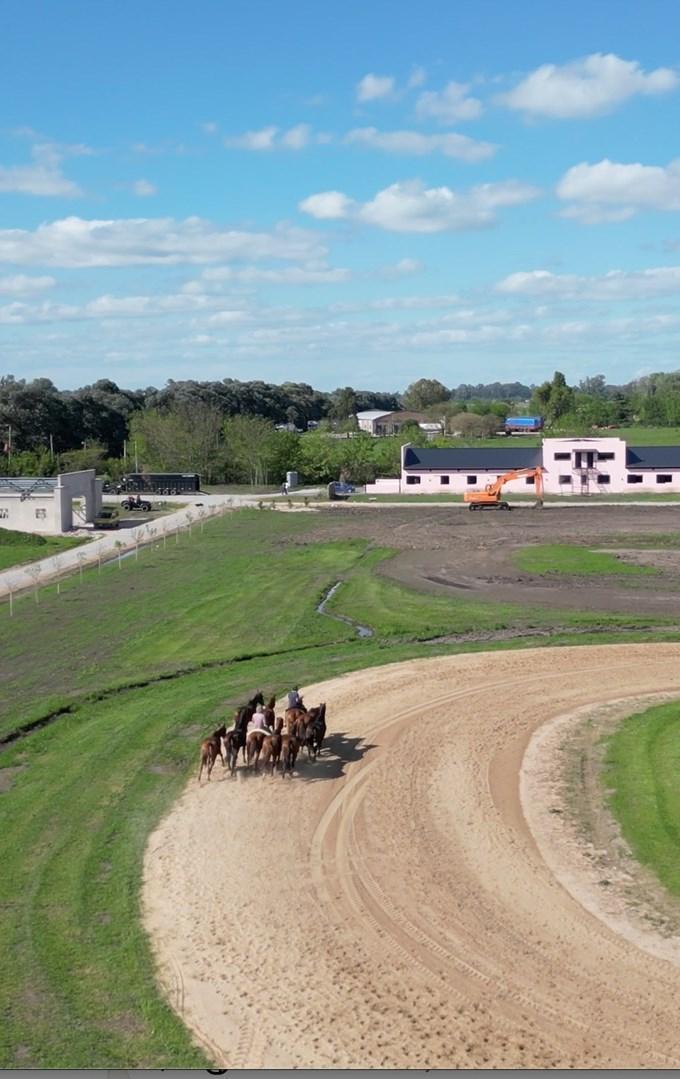 Foto de Lote en venta de 5000m2 dentro de Club de Polo en Open Door, imagen 3