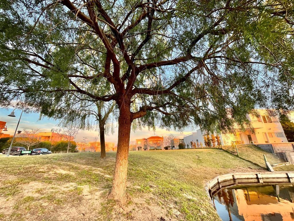 Foto de Lote en Venta al lago en Los Alisos, Nordelta, imagen 2